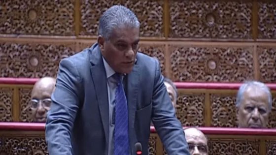 حنين يطالب بحماية الهوية المغربية من التفاهة الرقمية
