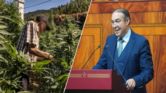 أوزين يطالب الداخلية بصيانة حقوق “مزارعي الكيف”