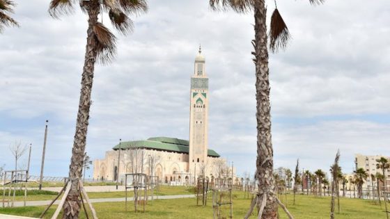 عمدة البيضاء تكشف تفاصيل أكبر منتزه في إفريقيا -فيديو
