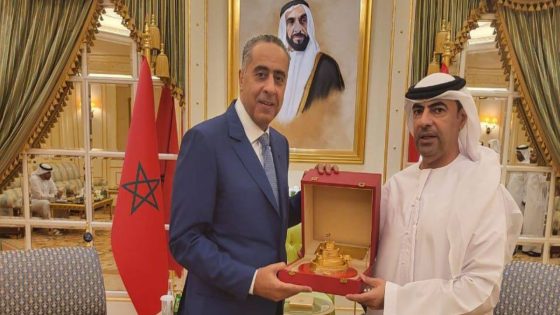 حموشي يجري زيارة عمل إلى الإمارات لتعزيز التعاون الأمني