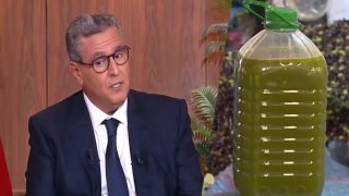 أخنوش يُطمئن المغاربة بشأن عودة أثمنة زيت الزيتون إلى مستوياتها العادية