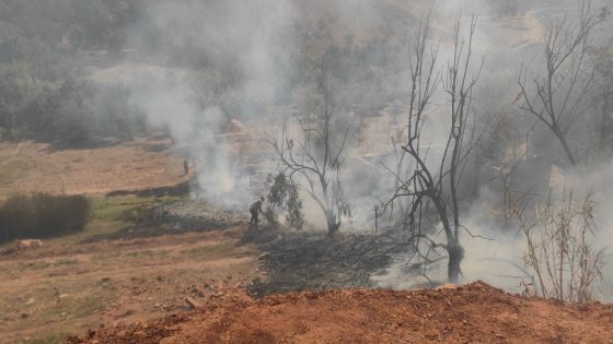 حريق مهول يلتهم مجموعة من أشجاز الزيتون نواحي أزيلال