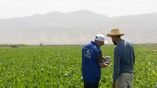 كوسومار تطلق موسم زرع النباتات السكرية