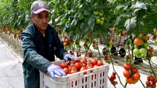 جامعي: الاتفاق الفلاحي المعدل بين المغرب والاتحاد الأوروبي يمثل “لحظة نجاح قوية”