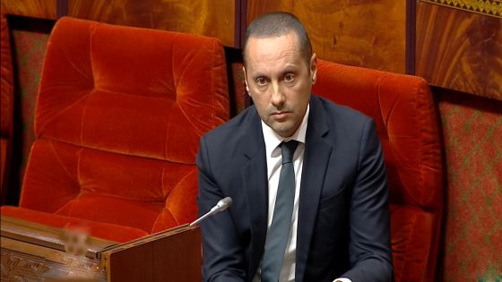 التهراوي ينفي اتهامات تضارب المصالح: “لي عندو الدليل يجيبو لنا”