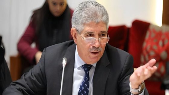 البام” يدافع عن حق “التويزي” في الحصانة البرلمانية بعد تصريح “طحن الورق