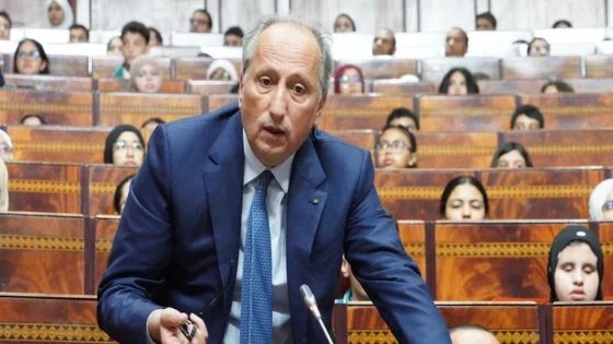 برلماني ينبه إلى الأخطاء المعرفية والمنهجية للدروس الرقمية لمشروع “الريادة”