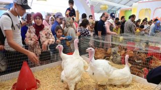 افتتاح الدورة 26 لمعرض “دواجن 2025” بالجديدة