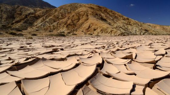 تأخر الأمطار وموجات الحرارة.. وزيرة سابقة: المغرب أمام لحظة مفصلية