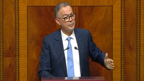 لقجع: دعم الأسر في جائحة كورونا استفاد منه مواطنون كثُرُُ لا علاقة لهم بالمحتاجين