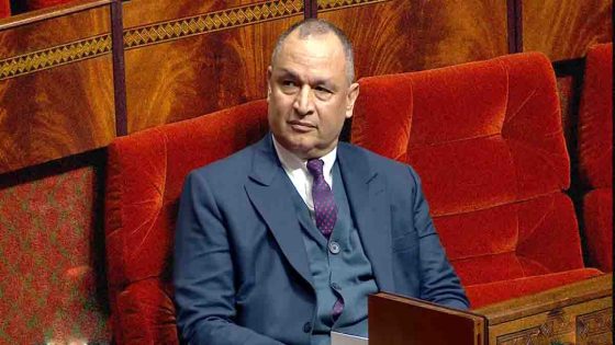 رياض مزور يرصد العائد الاقتصادي لكأس إفريقيا على المغرب