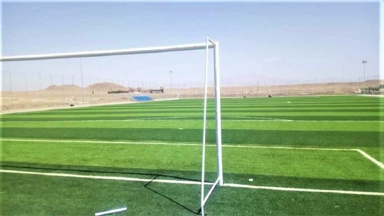 أسبوع قبل “الكان”.. تأخر تسمية الملاعب يصل البرلمان