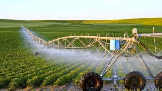 “البام” ينبه وزارة الفلاحة إلى مخاطر استعمال المبيدات الكيميائية