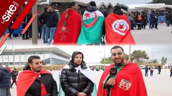 مشهد أخوي قبل النهائي.. تونسي وجزائري يدعمان المغرب أمام السنغال -فيديو