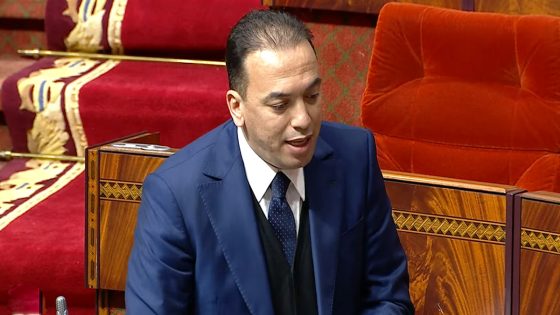 السعدي لبرلماني: “انتصرنا للجهة الشرقية بينما أبناؤها يجلدونها”