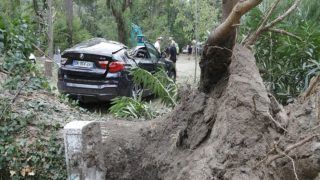 العاصفة “نيلز” تقتل شخصا وتقطع الكهرباء عن 900 ألف منزل بفرنسا