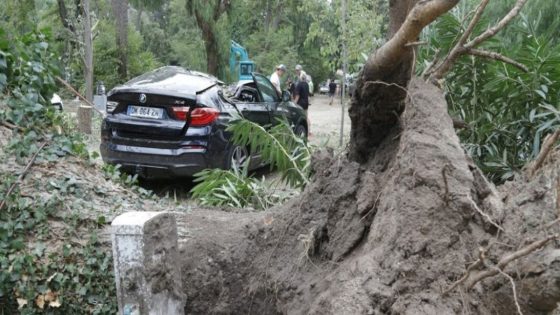 العاصفة “نيلز” تقتل شخصا وتقطع الكهرباء عن 900 ألف منزل بفرنسا