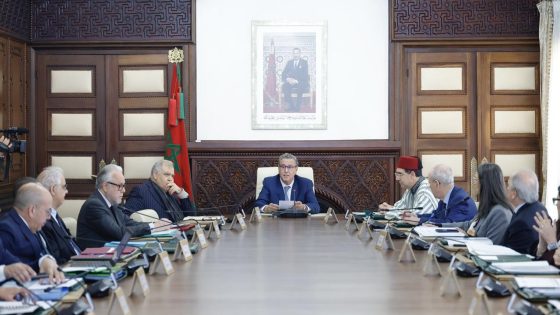 ضمنها مدير للمدرسة الوطنية العليا للذكاء الاصطناعي.. مجلس الحكومة يصادق على تعيينات جديدة