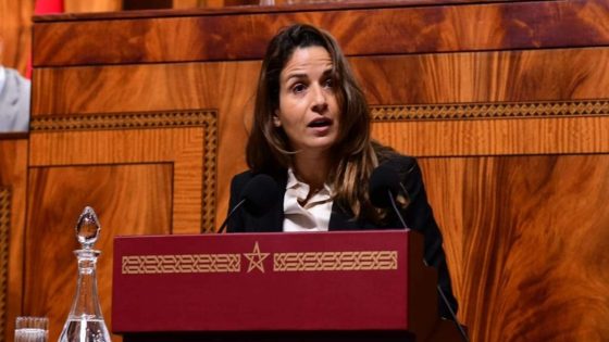 برلماني ينبه إلى اضطرابات في التزود بالغازوال والبنزين ببعض المحطات