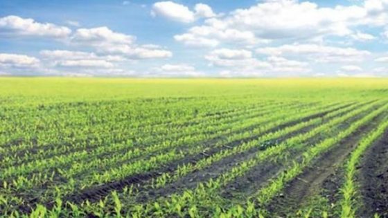 الحكومة تبشر المغاربة بموسم فلاحي ناجح بعد سنوات طويلة من الجفاف