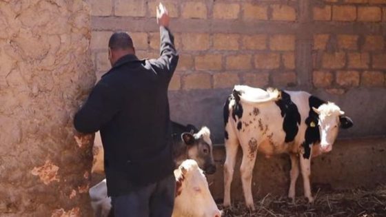 وزارة الفلاحة تستنفر مصالحها لكبح الأمراض التي تهدد القطيع الوطني