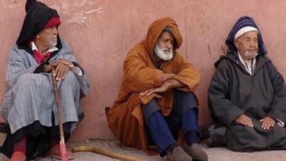 نتائج إحصاء 2024 تُحرك الحكومة لاحتواء تسارع وثيرة شيخوخة السكان