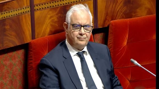 وصفها بـ”الشوهة”.. برلماني يتحسر على وضعية طرقات الجديدة أمام الوزير بركة