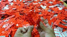 الدار البيضاء…الأمن يوقف مروج أقراص مهلوسة بعين السبع ويحجز كمية مهمة