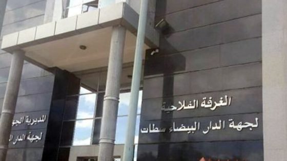 الدار البيضاء–سطات..ملف صفقة الأعلاف يفجر نقاشاً حول الحكامة
