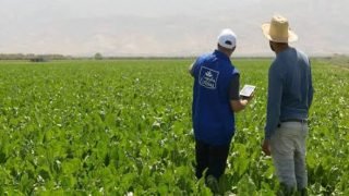 “كوسومار ش.م” و”سونابيل” و”سوتا” تحصل على تجديد علامة المسؤولية الإجتماعية للمقاولات من طرف “CGEM”