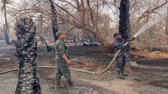 اندلاع حريق بواحة تغزوت بإقليم تنغير