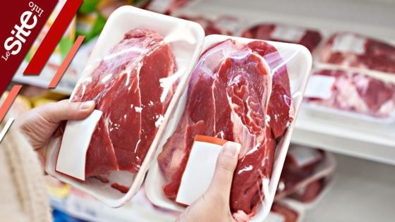 الحكومة: كل اللحوم المستوردة من الخارج تخضع لمراقبة صحية صارمة