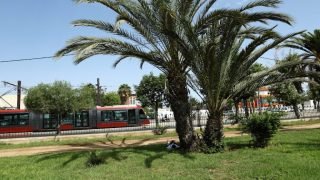 الدار البيضاء..تعبّئ إمكانياتها لمواجهة تأثيرات الحر الشديد على المساحات الخضراء