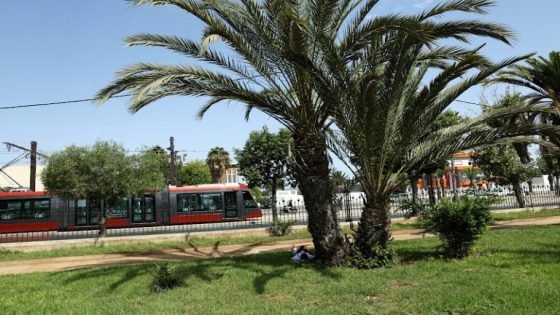 الدار البيضاء..تعبّئ إمكانياتها لمواجهة تأثيرات الحر الشديد على المساحات الخضراء