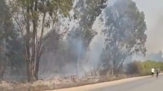 اندلاع حريق مهول بضيعة فلاحية نواحي العرائش