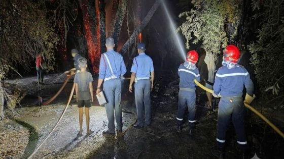 حريق مهول يلتهم واحة “أياي” نواحي تزنيت ويثير الاستنفار