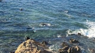 انتشال جثة طفل من شاطئ الغديرة بالعرائش