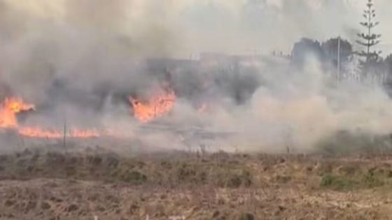 حريق مهول يلتهم مساحات واسعة من غابة القلعيين نواحي العرائش -فيديو
