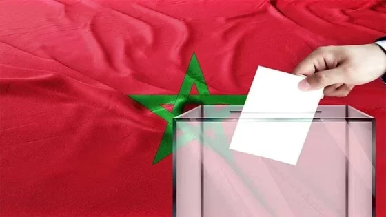 إحصاء نهائي…تسجيل 15,8 مليون ناخب للاستحقاقات الانتخابية المقبلة