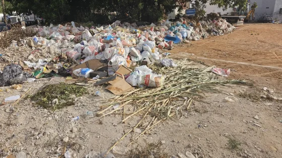 سيدي البرنوصي غارق من جديد في النفايات الهامدة