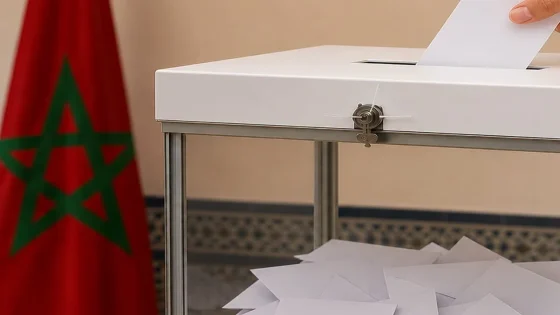 سطات..24 لائحة تتنافس على 6 مقاعد برلمانية