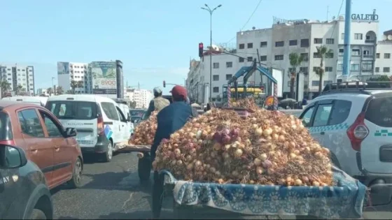 الدار البيضاء…فوضى العربات المجرورة متواصلة رغم الحظر